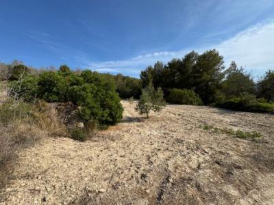 Acheter Terrain Benissa r�gion ALICANTE