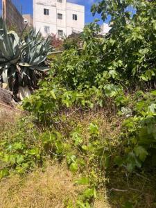 Acheter Maison Las-palmas-de-gran-canaria r�gion LAS-PALMAS