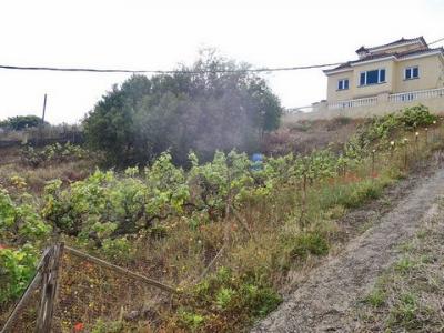 Acheter Terrain 308 m2 Santa-brigida