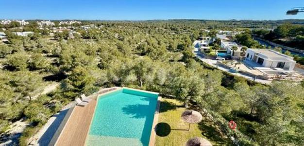 Annonce Vente Appartement Orihuela