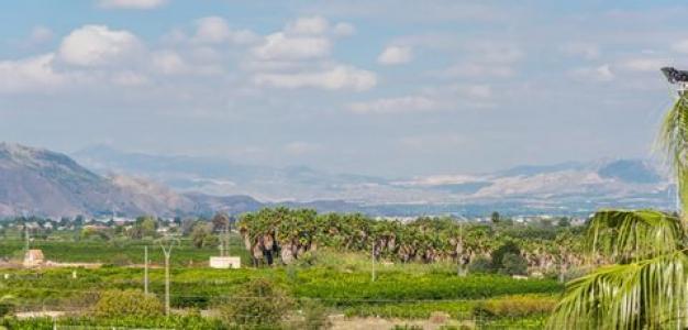 Acheter Appartement 138 m2 Jacarilla