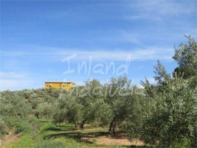 Annonce Vente Maison Alcaudete