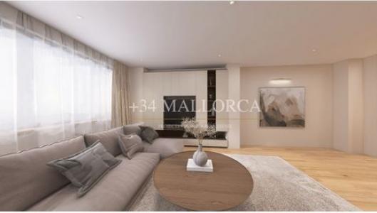 Annonce Vente Local commercial Palma-de-mallorca