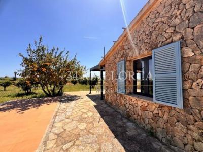 Annonce Location Maison Santa-eugenia