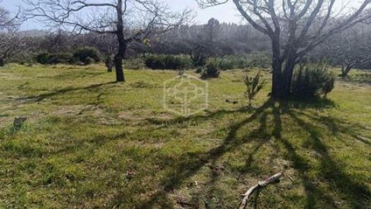 Acheter Maison Torrevieja r�gion ALICANTE