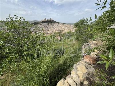 Acheter Maison 40 m2 Alcala-la-real