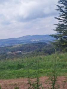Annonce Vente Terrain Mediona