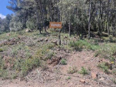 Acheter Terrain 2299 m2 Mediona