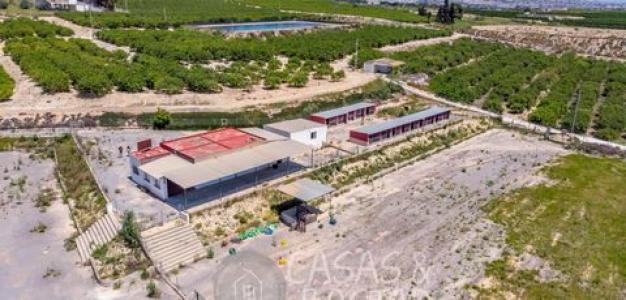 Annonce Vente Maison Los-montesinos