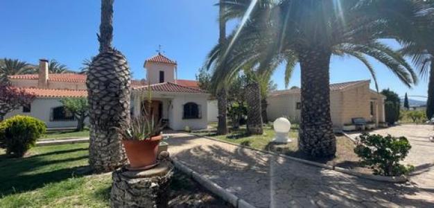 Annonce Vente Maison Elda