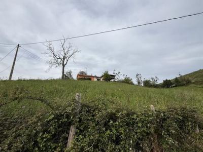 Acheter Maison 60 m2 Llanera