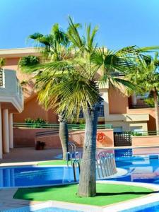 Acheter Appartement 96 m2 Pedreguer