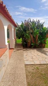 Annonce Vente Maison Residencia-'el-burgo'