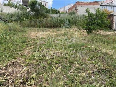 Annonce Vente Maison Luque