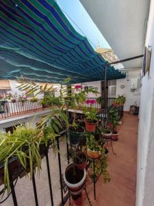 Annonce Vente Maison Ecija