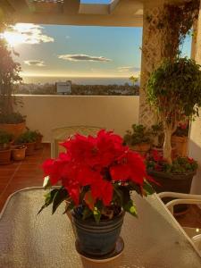 Annonce Vente 4 pi�ces Appartement San-pedro-alcantara