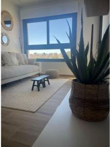 Acheter Appartement 76 m2 Orihuela-costa