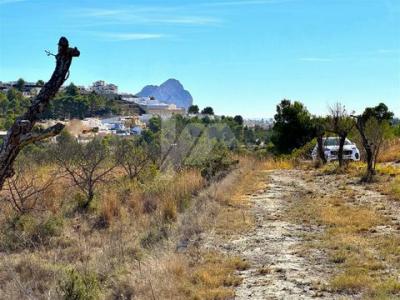 Annonce Vente Terrain Benissa