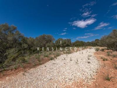 Vente Terrain Llucmajor  PM