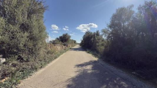 Annonce Vente Terrain Llucmajor
