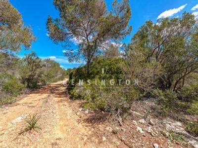 Acheter Terrain 500 m2 Llucmajor