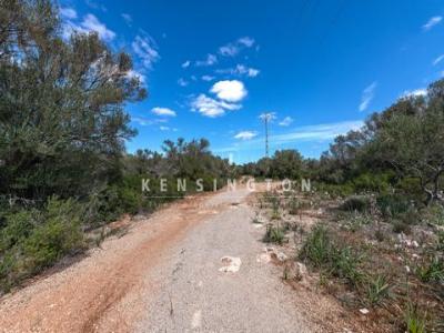 Acheter Terrain Llucmajor r�gion ISLAS-BALEARES