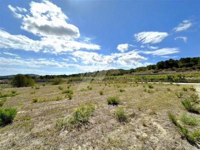 Acheter Terrain Denia r�gion ALICANTE