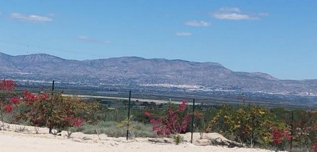 Annonce Vente Terrain Guardamar-del-segura