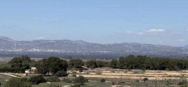 Acheter Terrain 10000 m2 Guardamar-del-segura