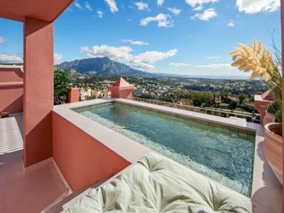 Acheter Appartement 195 m2 Benahavis