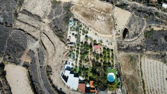 Acheter Local commercial 893 m2 San-miguel-de-abona