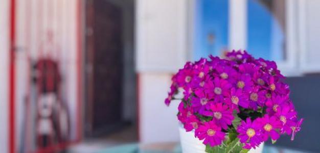 Acheter Appartement 53 m2 Torrevieja