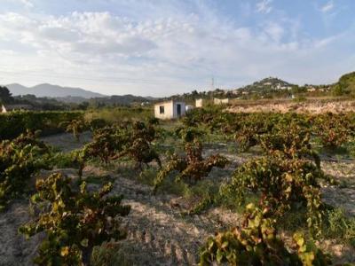 Vente Terrain Calpe  A en Espagne