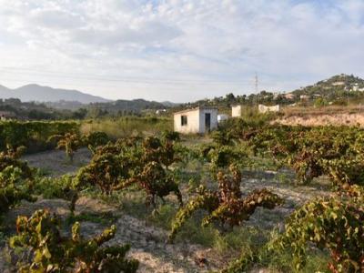 Acheter Terrain 7400 m2 Calpe