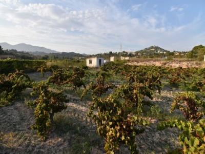 Acheter Terrain Calpe r�gion ALICANTE