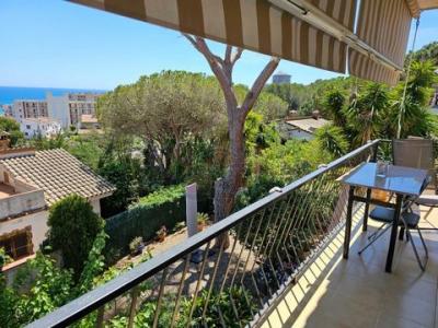 Annonce Vente Maison Calonge