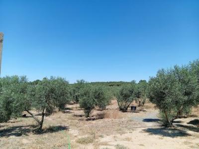 Annonce Vente Terrain Villablanca