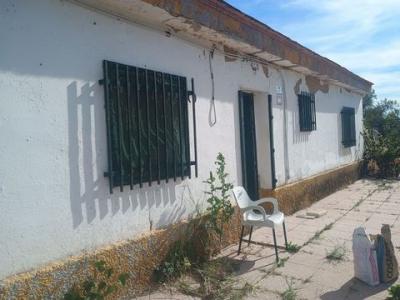 Annonce Vente Maison Gibraleon