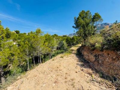 Acheter Terrain 2120 m2 Altea