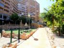 Louer pour les vacances Appartement Benidorm r�gion ALICANTE