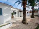 Annonce Vente 3 pi�ces Maison Denia