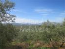 Acheter Maison Alcaudete r�gion JAEN