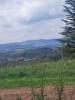 Annonce Vente Terrain Mediona