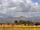 Vente Appartement Santa-eugenia 07142