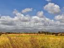 Annonce Vente Appartement Santa-eugenia
