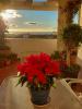 Annonce Vente 4 pi�ces Appartement San-pedro-alcantara