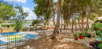 Vente Maison Torrevieja 03180