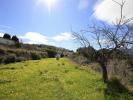 Acheter Terrain 10012 m2 Benissa