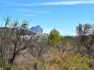 Acheter Terrain 11989 m2 Benissa