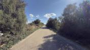 Annonce Vente Terrain Llucmajor